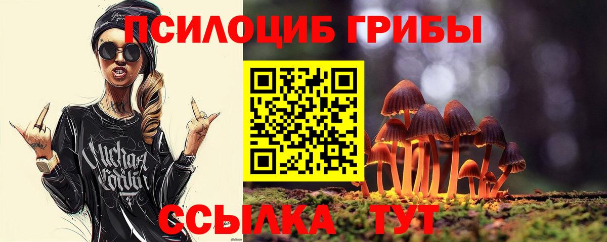 Азов  Псилоцибиновые грибы мицелий  Вход с VPN 