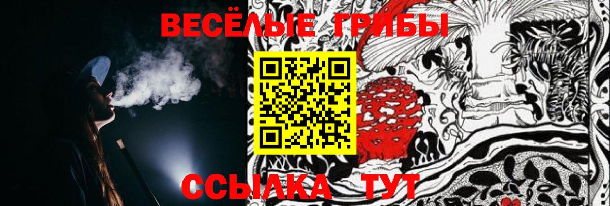 Галлюциногенные грибы мухоморы Азов